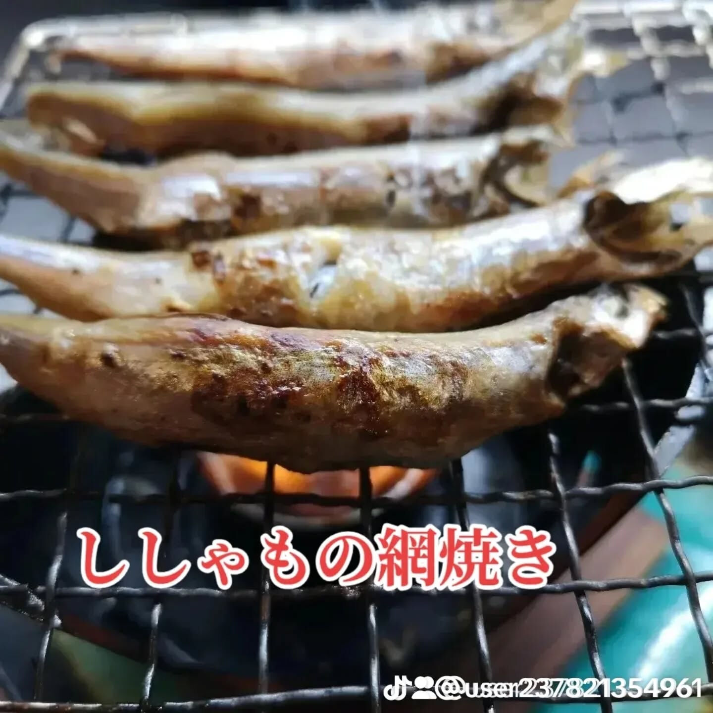 今日のディナーは友達と一緒に居酒屋でお刺身盛合せを堪能しまし