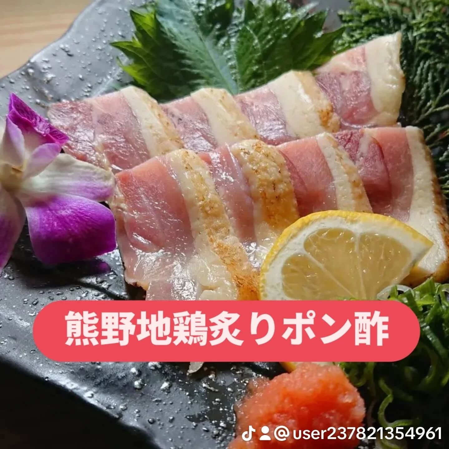 天神橋六丁目の居酒屋は、地元の人々に愛され続ける食のスポット