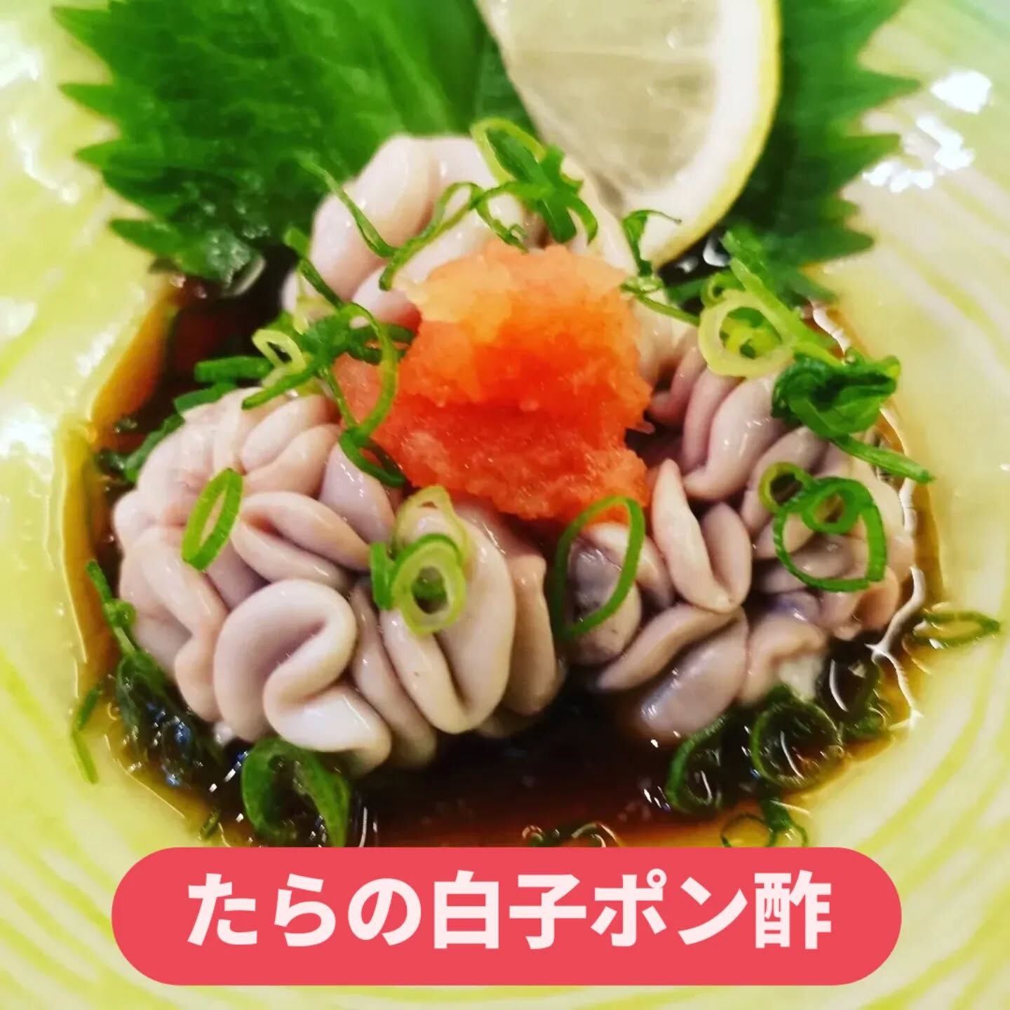 天神橋筋六丁目の居酒屋で、心とお腹を満たす美食体験はいかがで