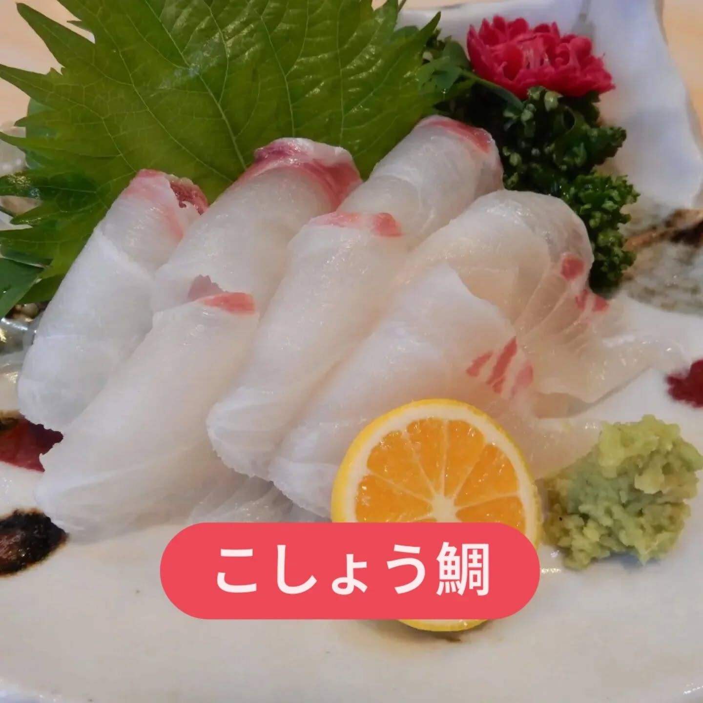 今日も天然の魚介お刺身ええのがありまっせ😊🫱　より優られた地