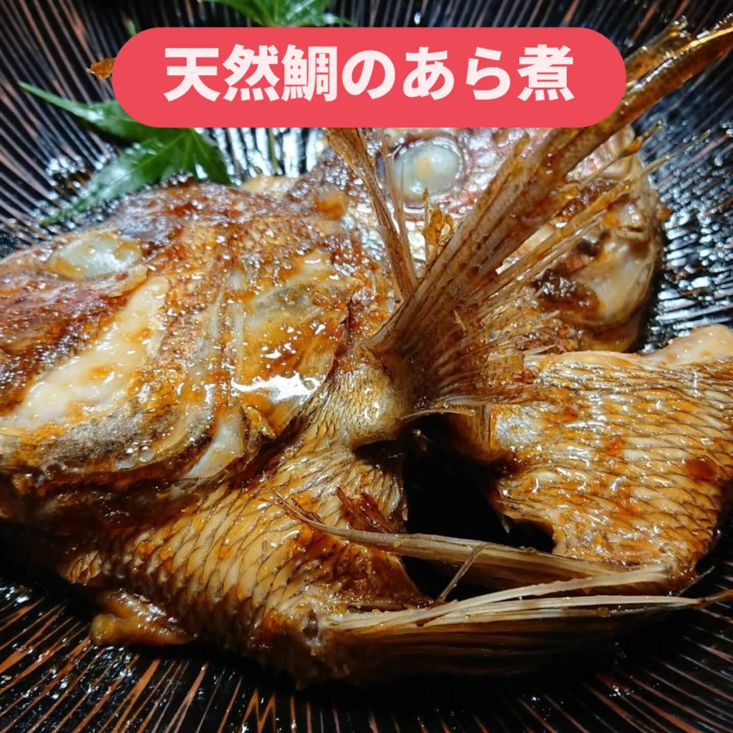 今日も天然の魚介お刺身ええのがありまっせ😊🫱　より優られた地