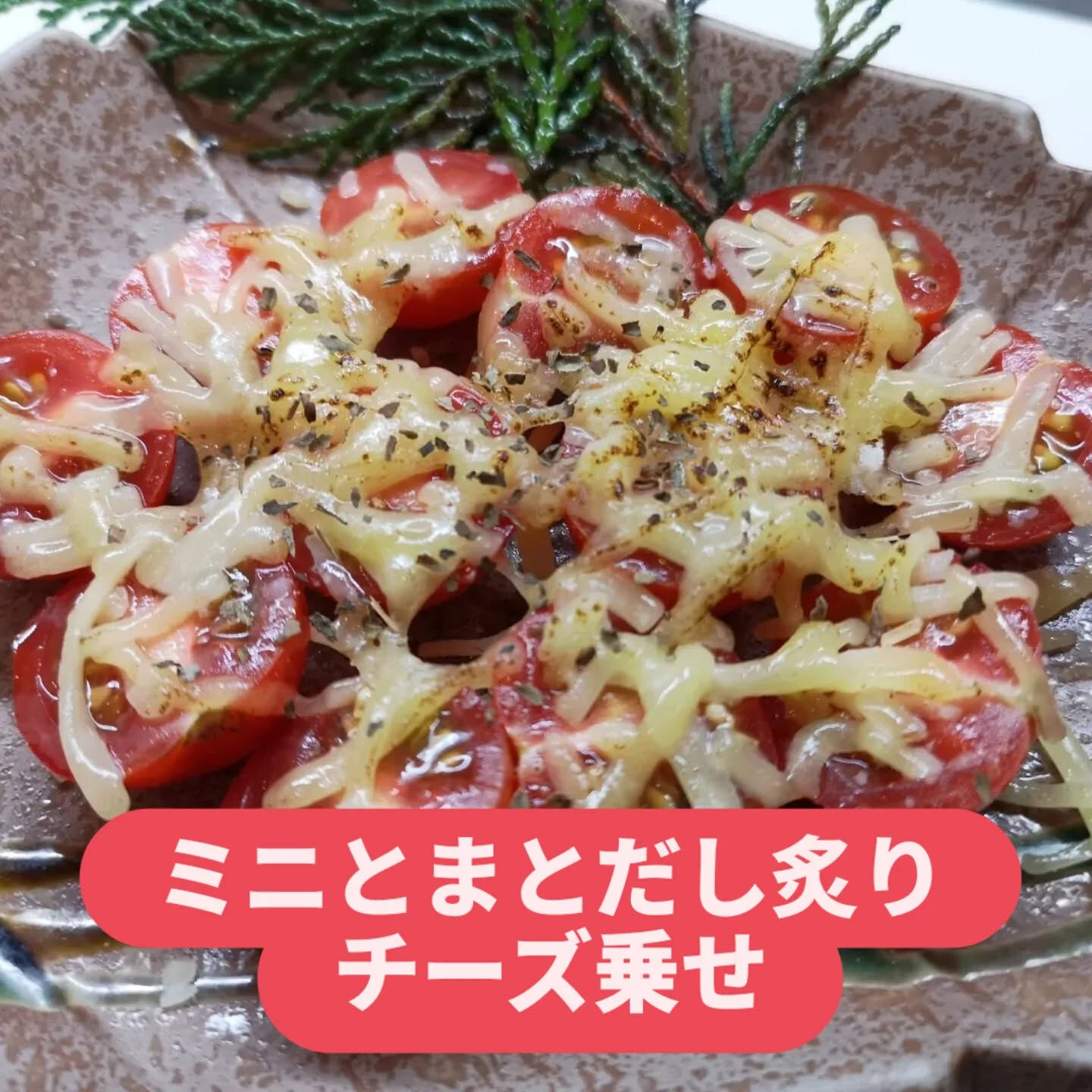 魚介料理、牛肉料理、豚肉料理、鶏肉料理を除いた料理です