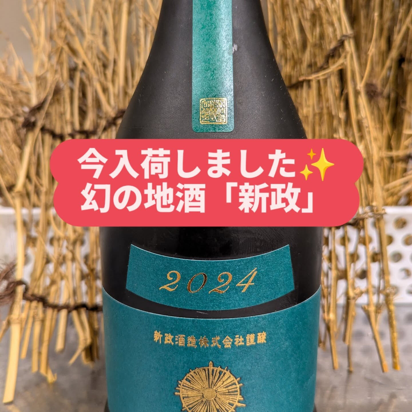 只今入荷しました✨