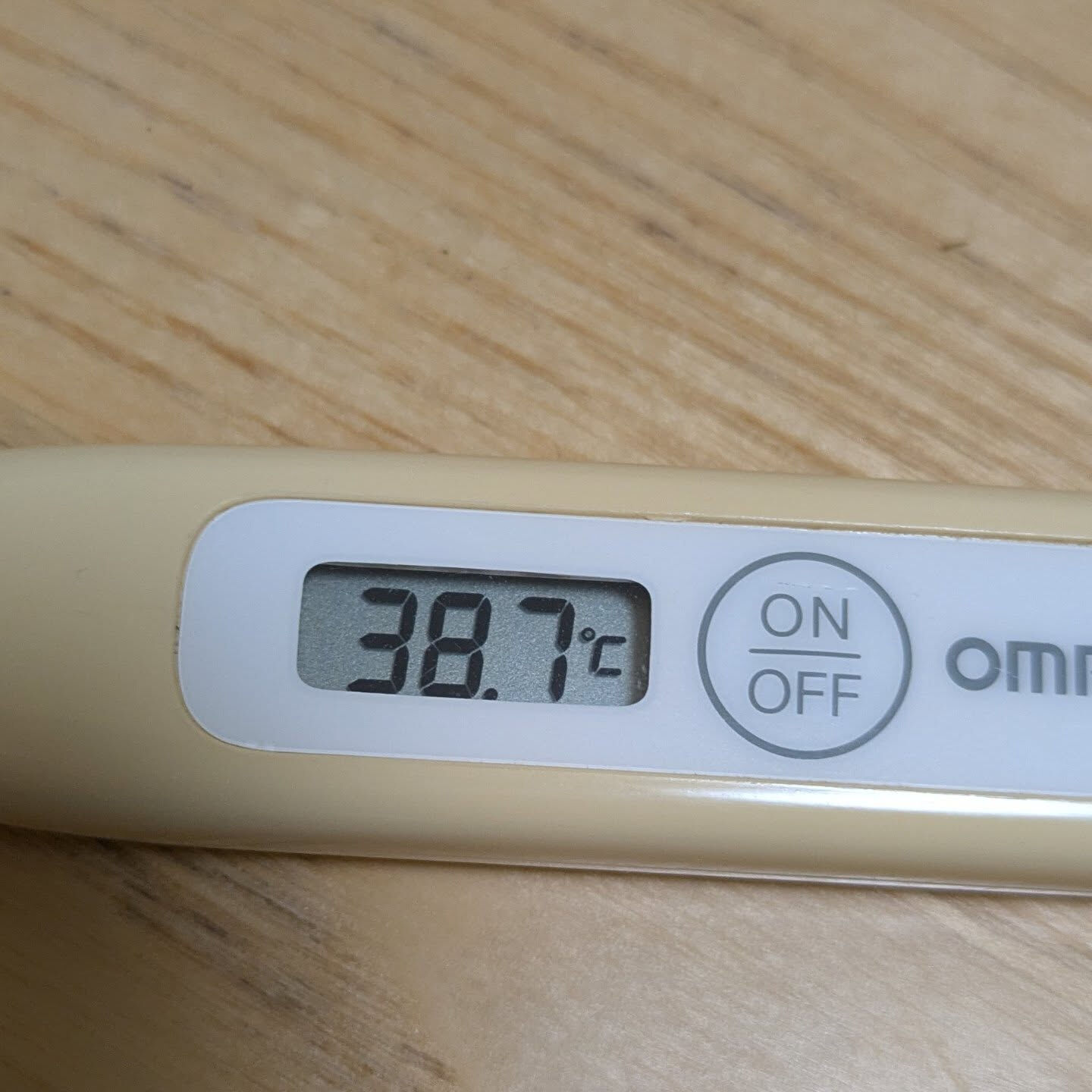 色々あって疲れるが出たのか昨夜から39度超えの熱が出て今日も