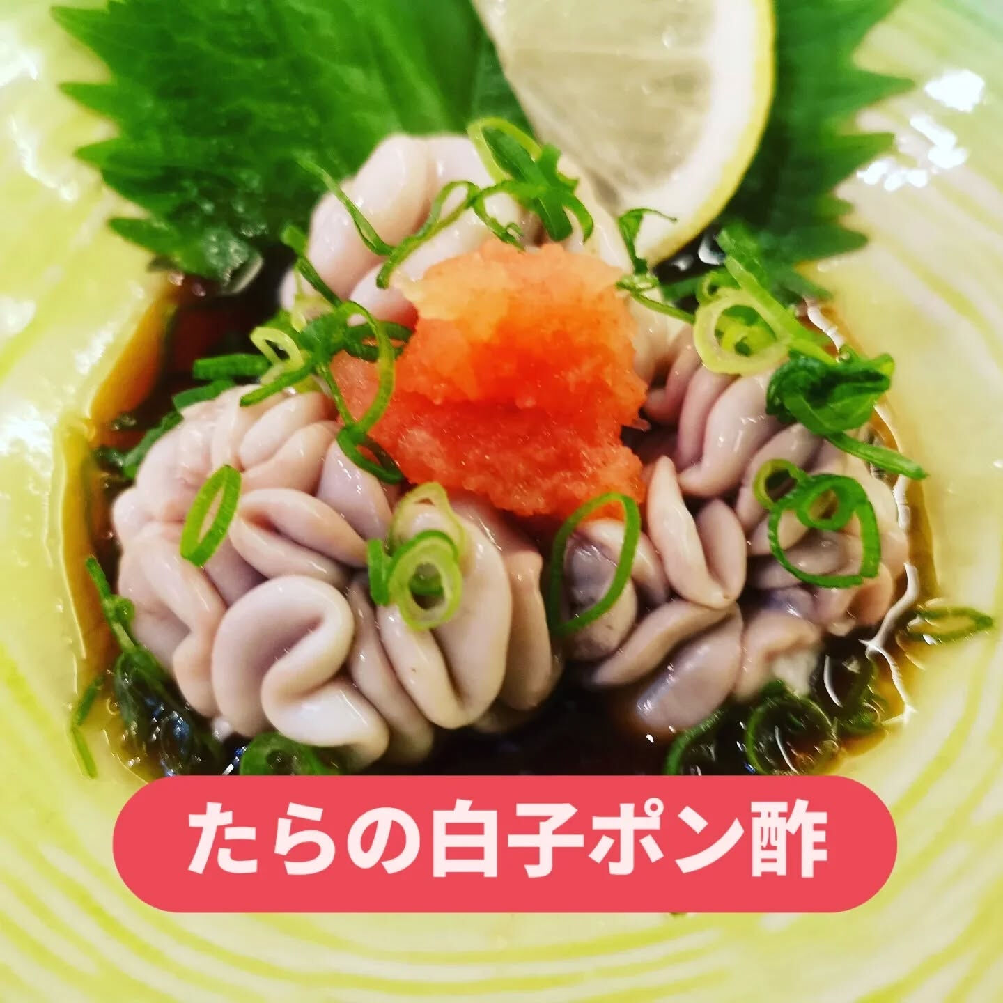 冬といえば、新鮮で美味しい魚介が楽しめる季節ですね