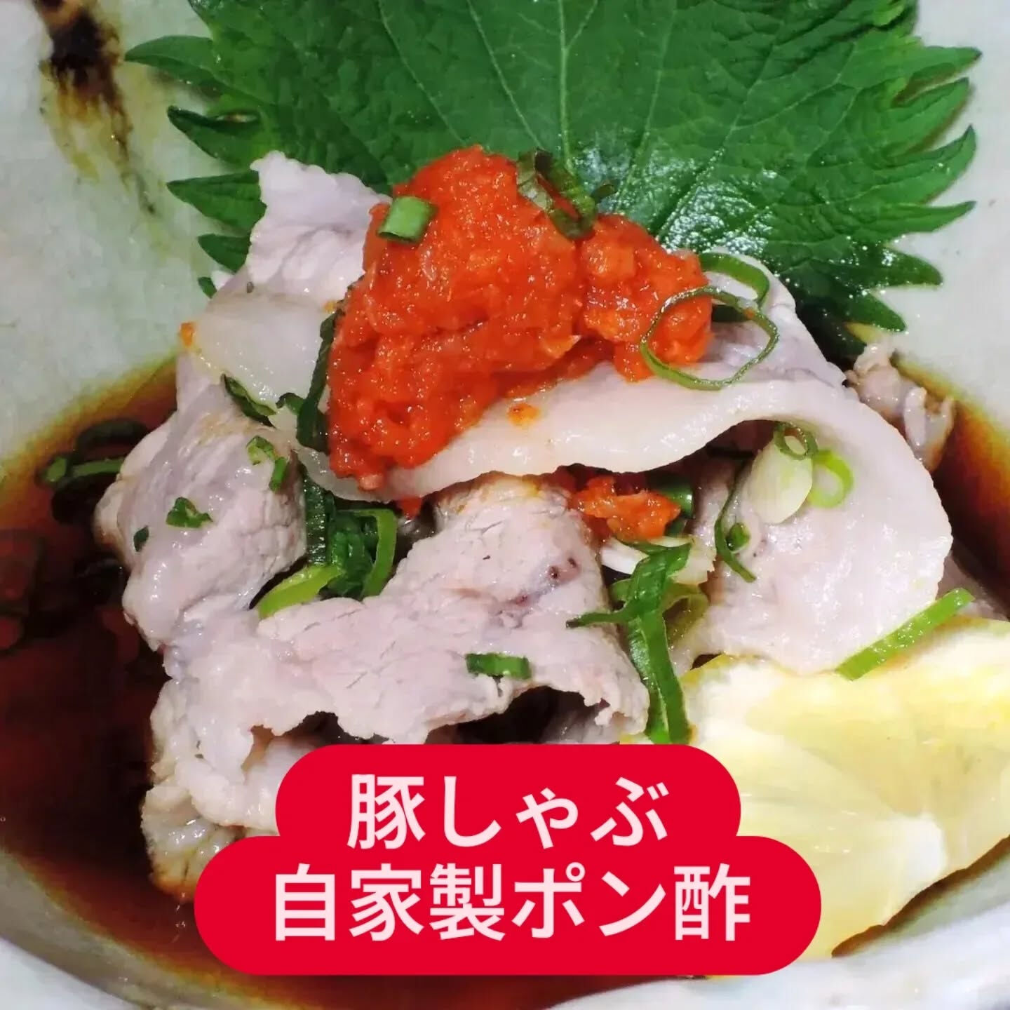 今回は大阪の天満エリアにある個性的な飲食店「まんぼう家」をご