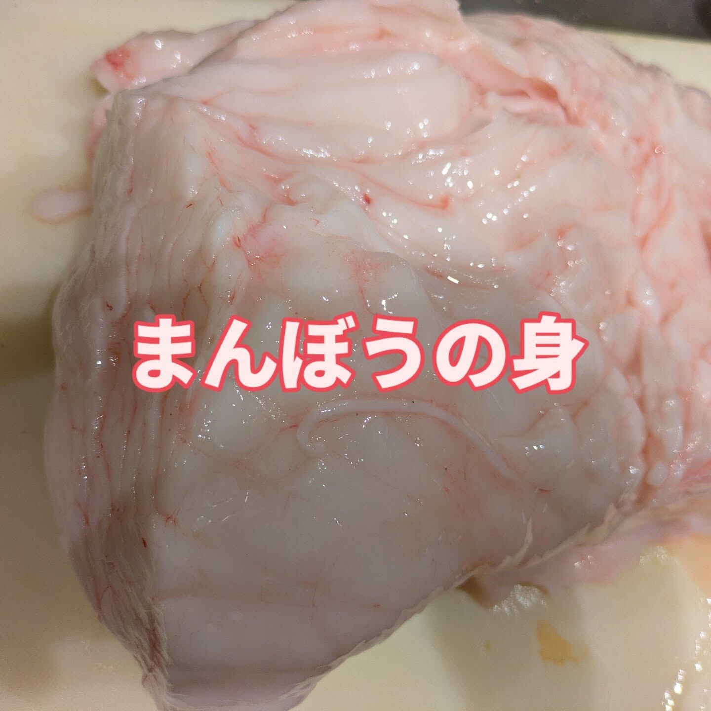 まんぼうが入荷されました！✨このユニークな魚は、たまにしか市