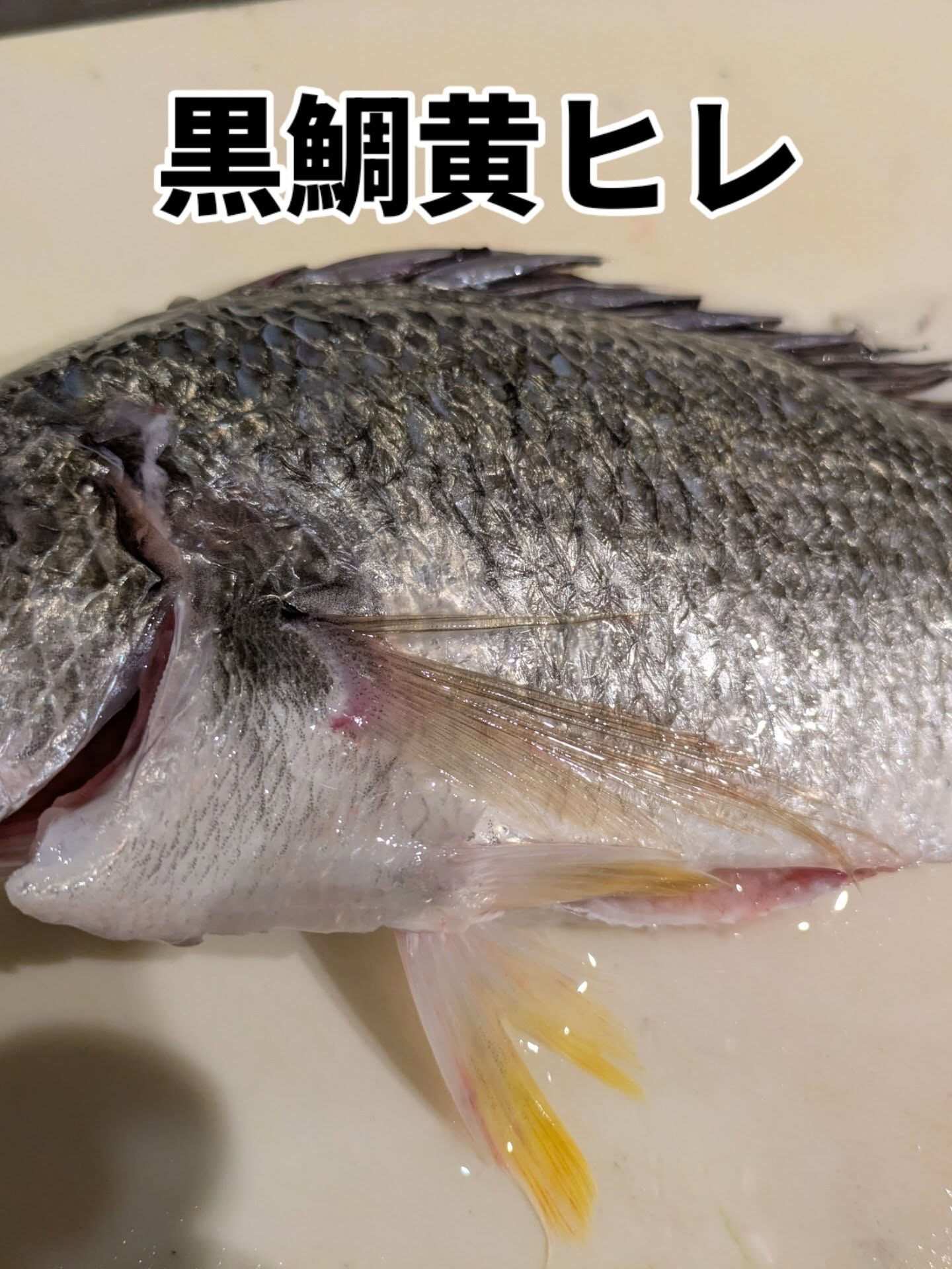 天満の隠れ家で、贅沢なディナーを体験しませんか？🍣 お店のシ