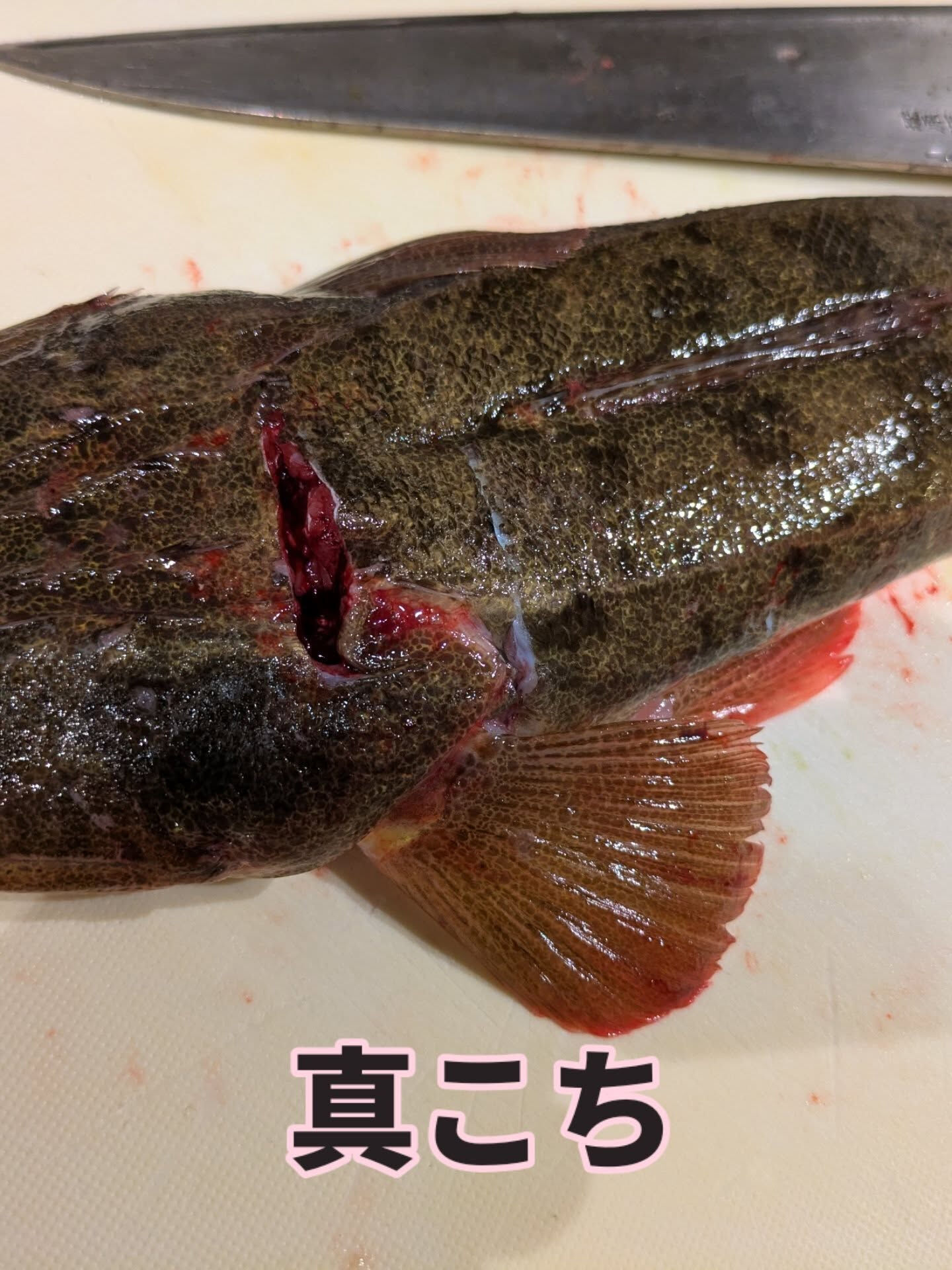天満の隠れ家で、贅沢なディナーを体験しませんか？🍣 お店のシ