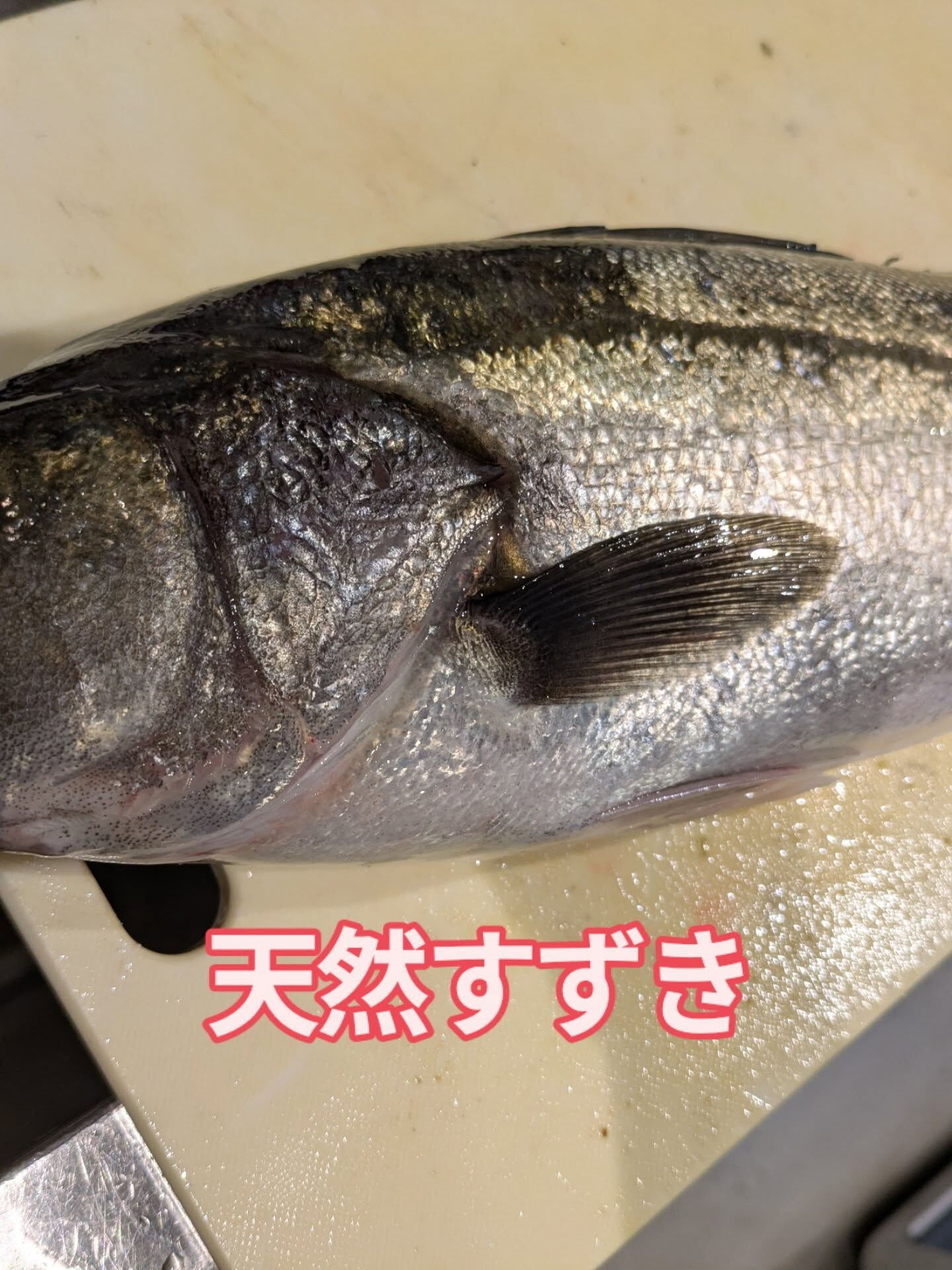 天満にある「東紀州料理　まんぼう家」は、魚の鮮度にこだわる居