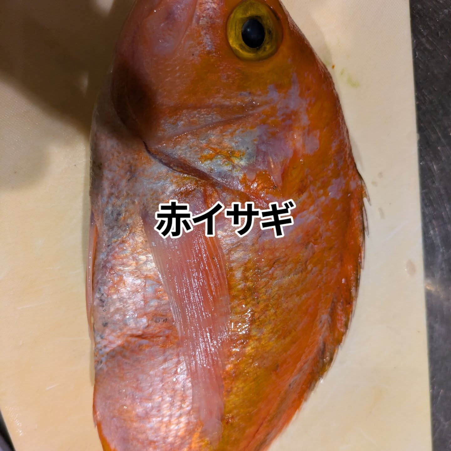 まんぼうの肝和えを食べるなら今やで〜‼️