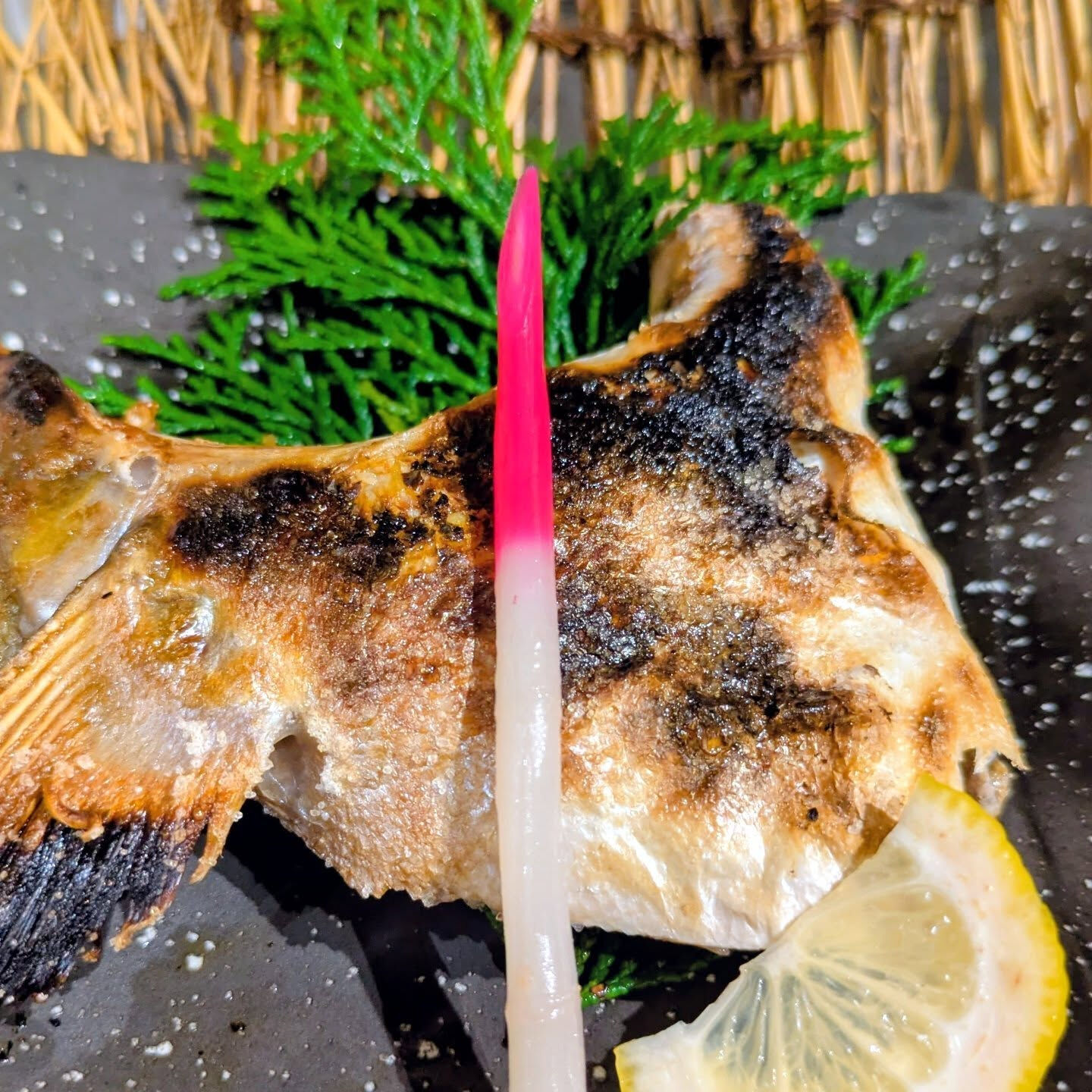 本日のおすすめは、新鮮な天然物にこだわった焼魚と煮魚の数々✨