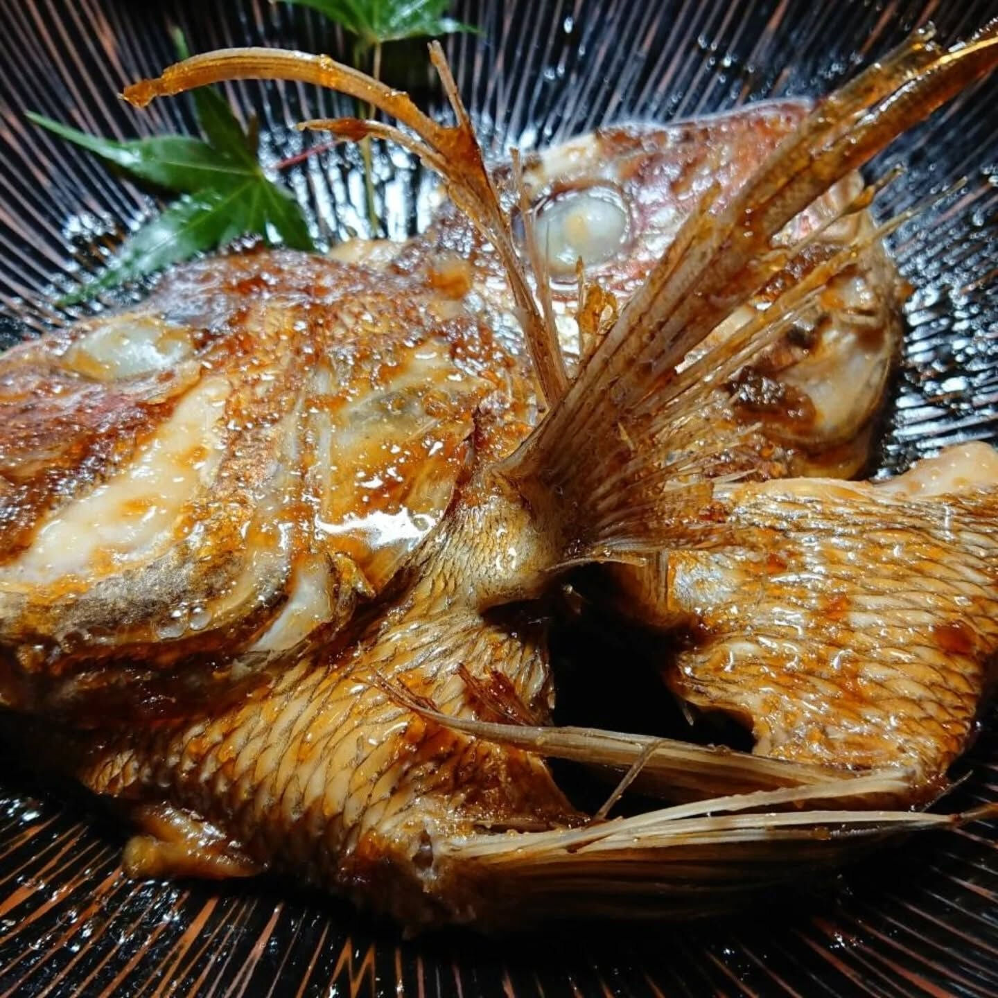 本日のおすすめは、新鮮な天然物にこだわった焼魚と煮魚の数々✨