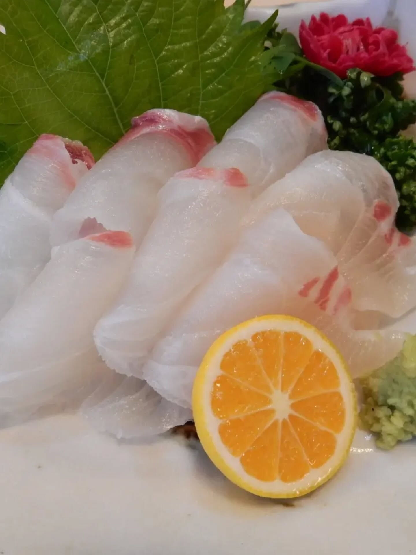 本日は天満の東紀州料理「まんぼう家」では、新鮮な天然魚介のお