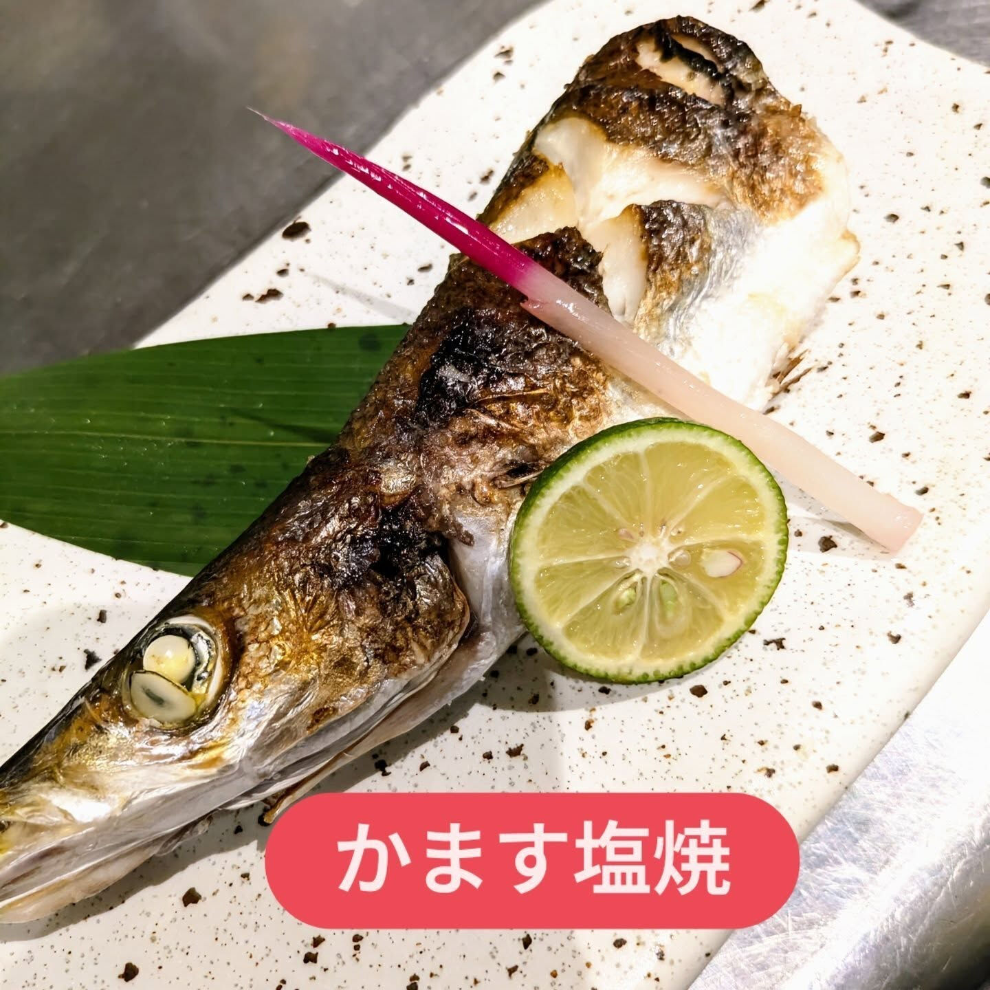本日、5月5日も夕方5時から営業しております