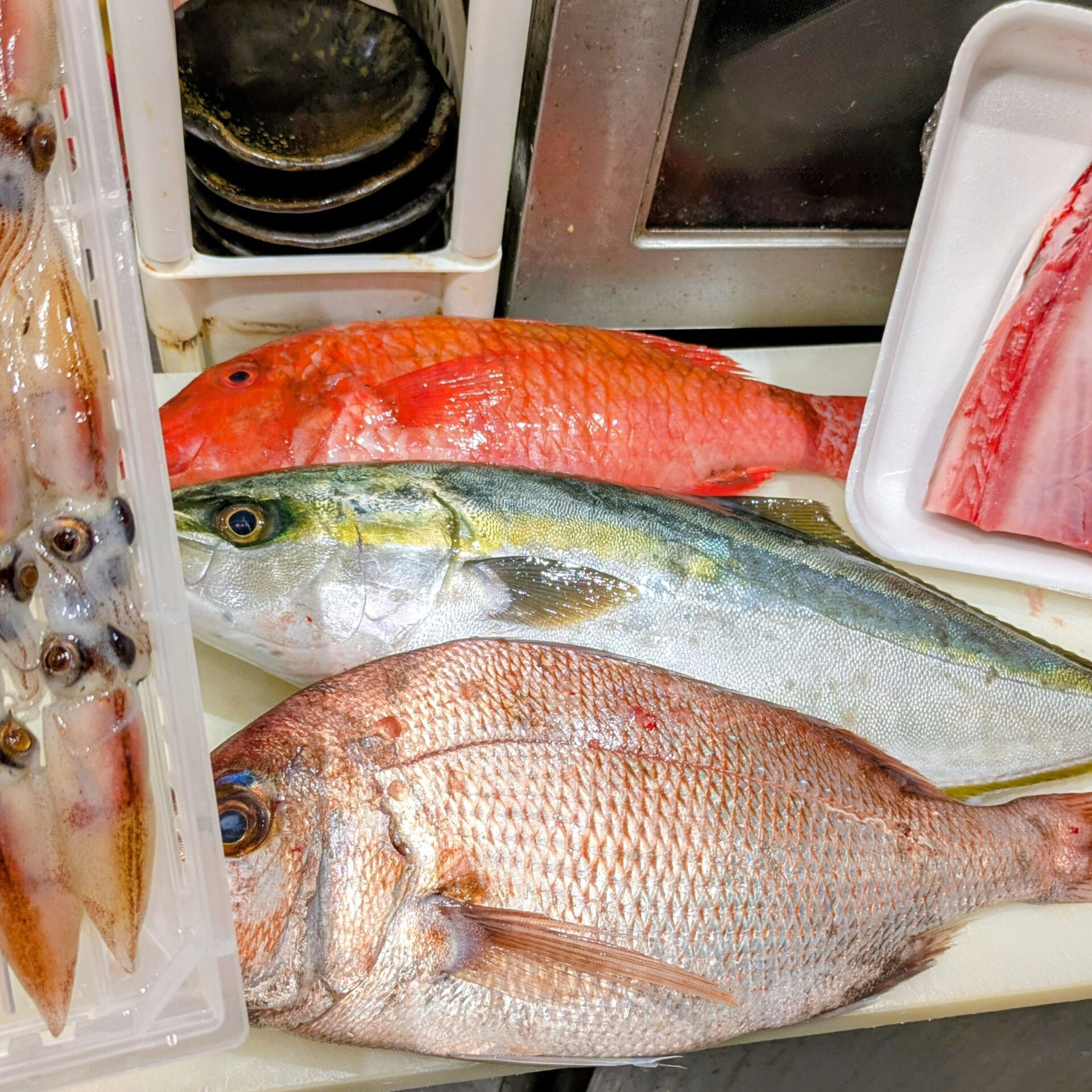 本日は、新鮮な天然物の魚介類を使用した刺身をご用意しておりま