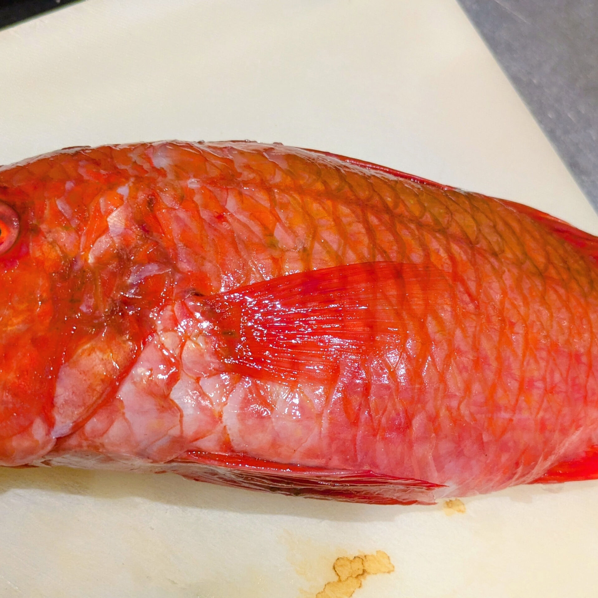 本日は、新鮮な天然物の魚介類を使用した刺身をご用意しておりま