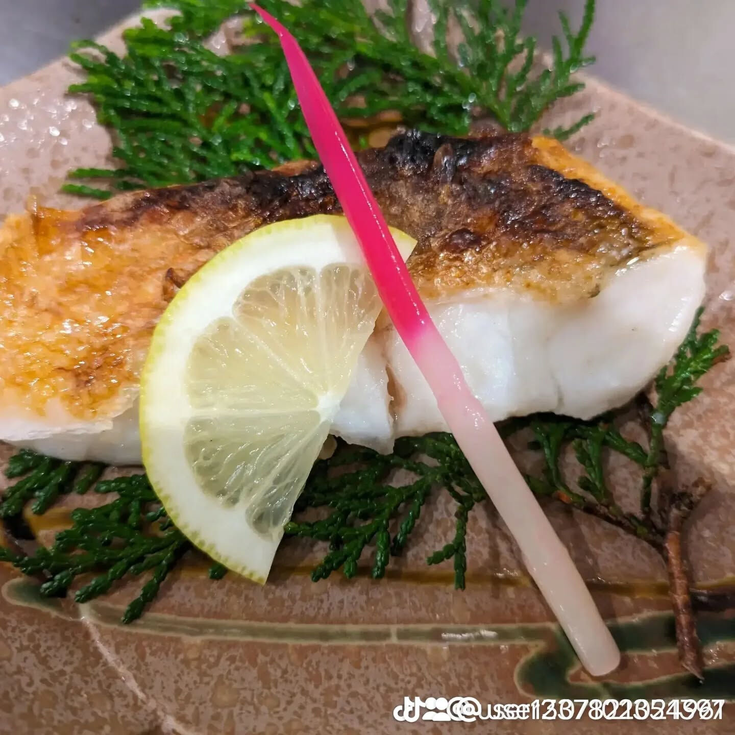 まんぼう家では、新鮮な天然物の焼魚や魚の煮付けをお楽しみいた