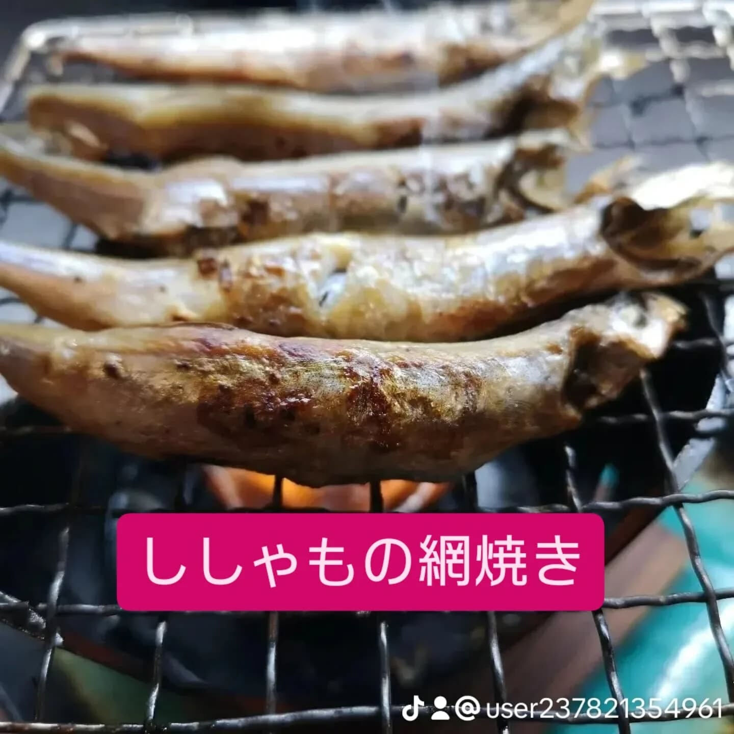 まんぼう家では、新鮮な天然物の焼魚や魚の煮付けをお楽しみいた