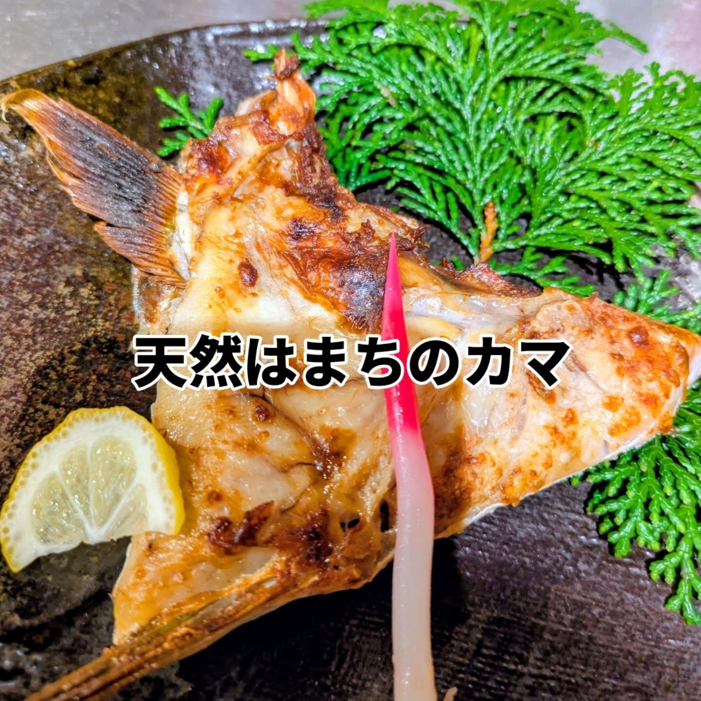 まんぼう家では、新鮮な天然物の焼魚や魚の煮付けをお楽しみいた