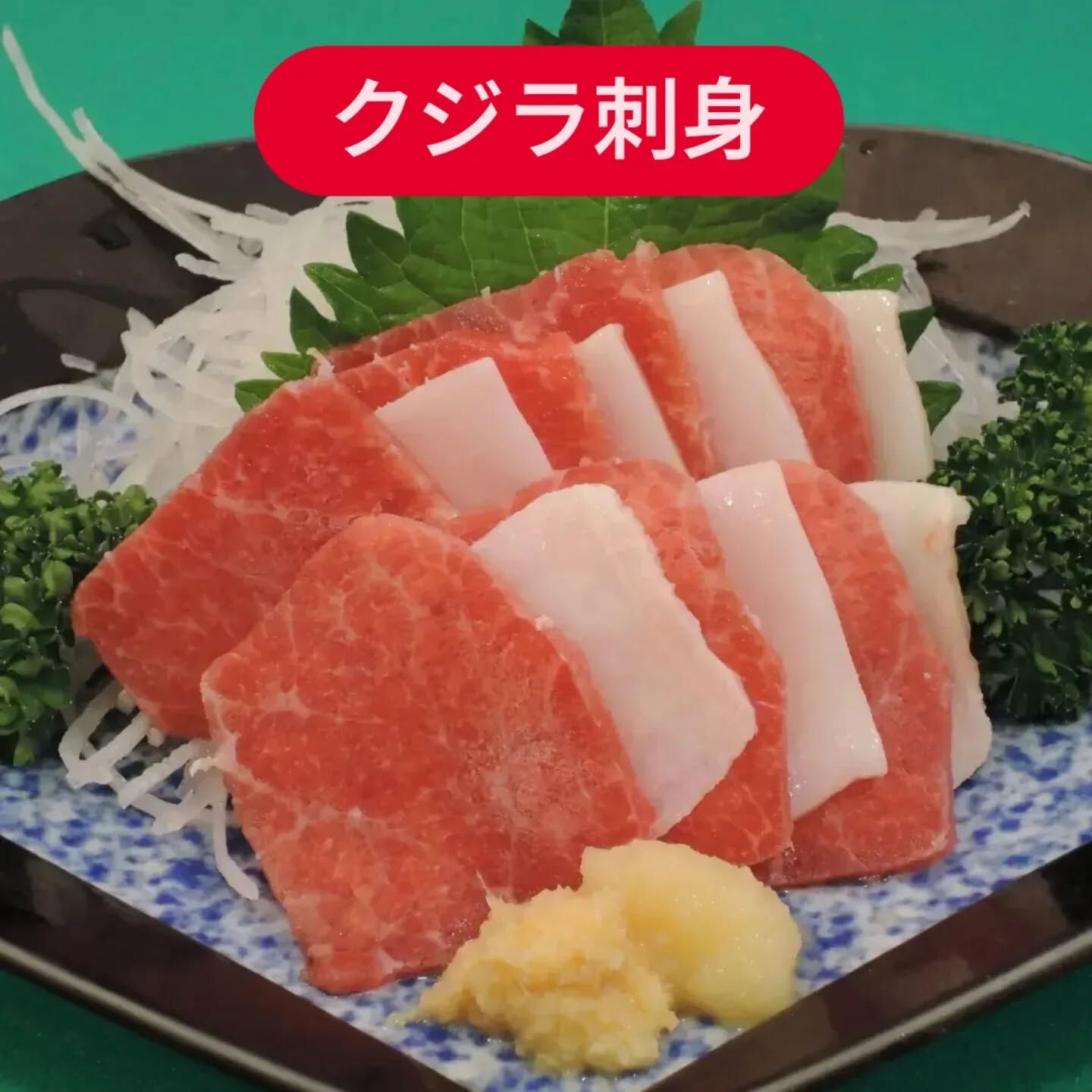 南紀州の海が育んだクジラの魅力