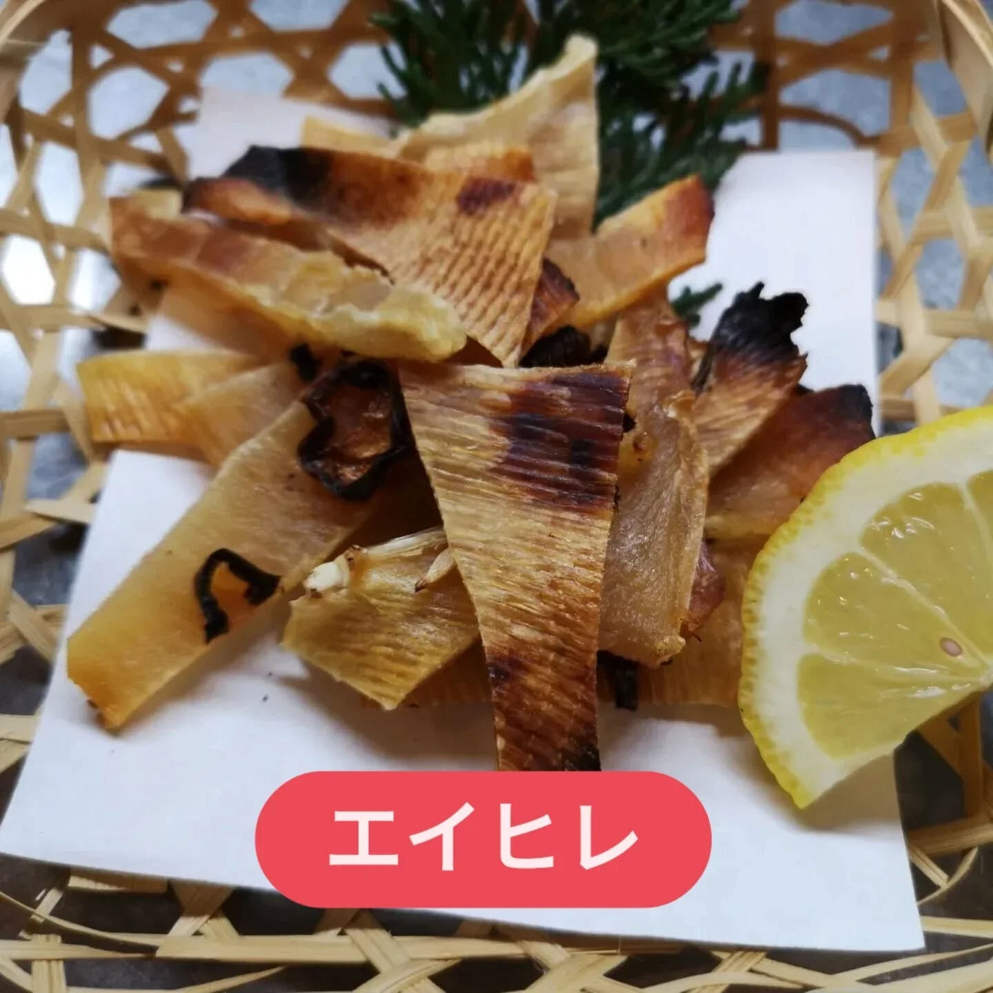 今夜のおすすめ🍽️