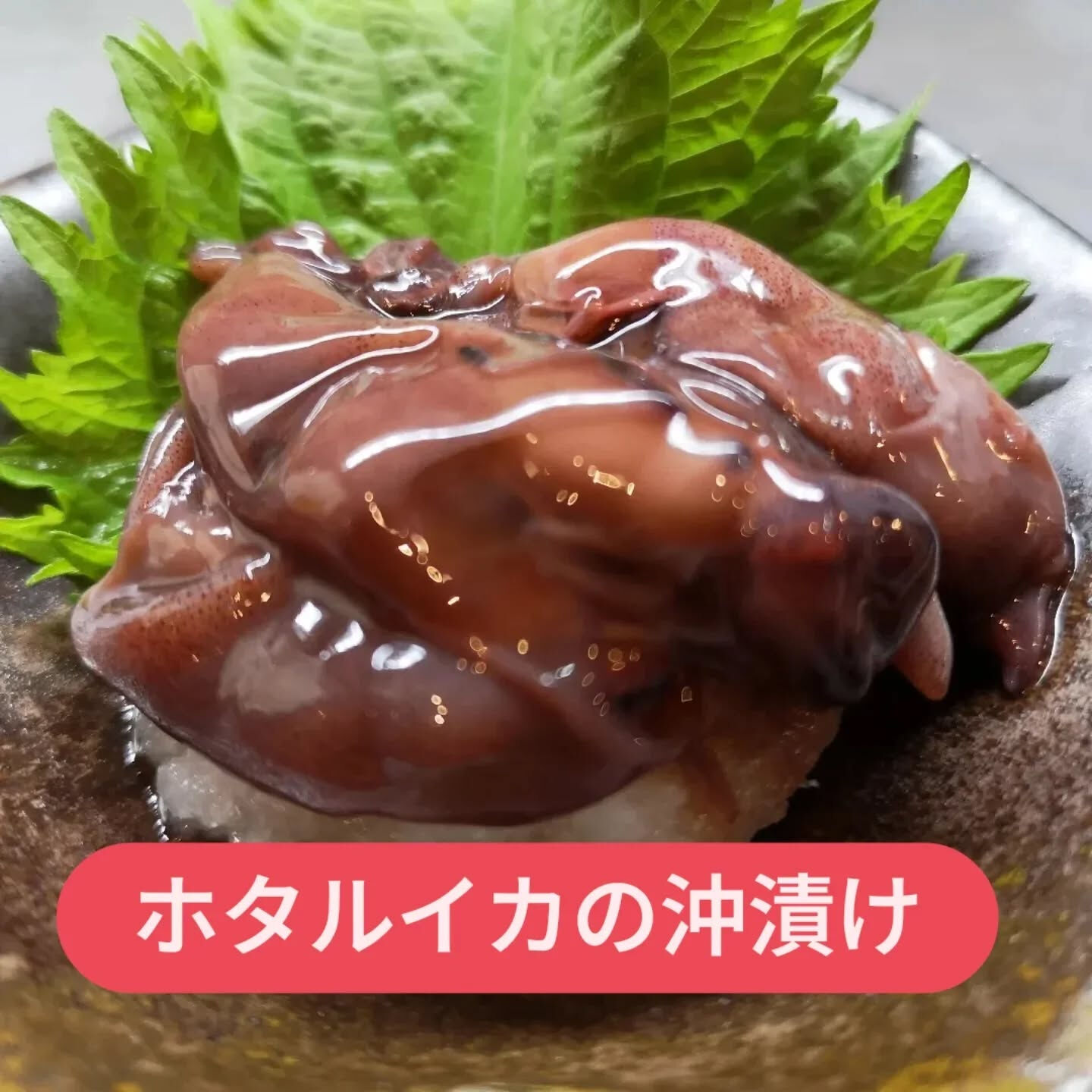 今夜のおすすめ🍽️