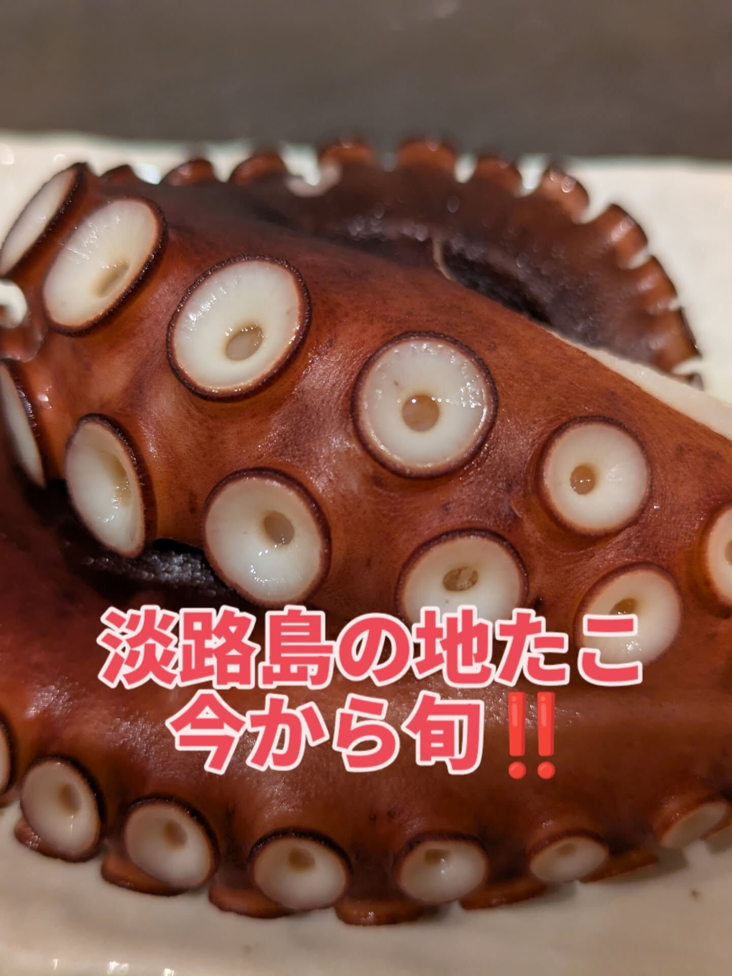 本日のおすすめは、新鮮な天然魚介のお刺身です
