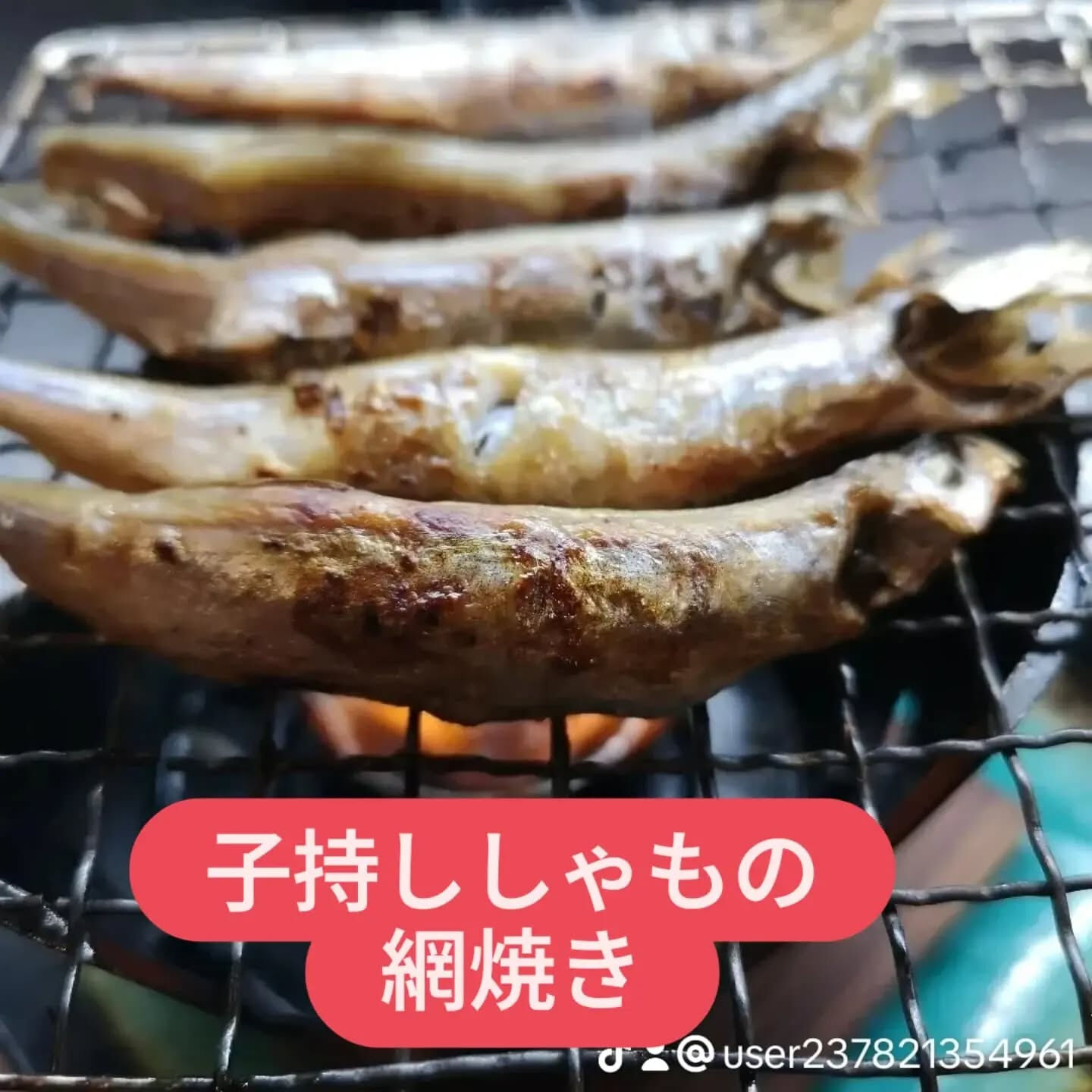 multi_image