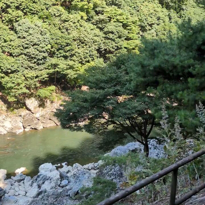先日、京都のトロッコ列車に乗って来た