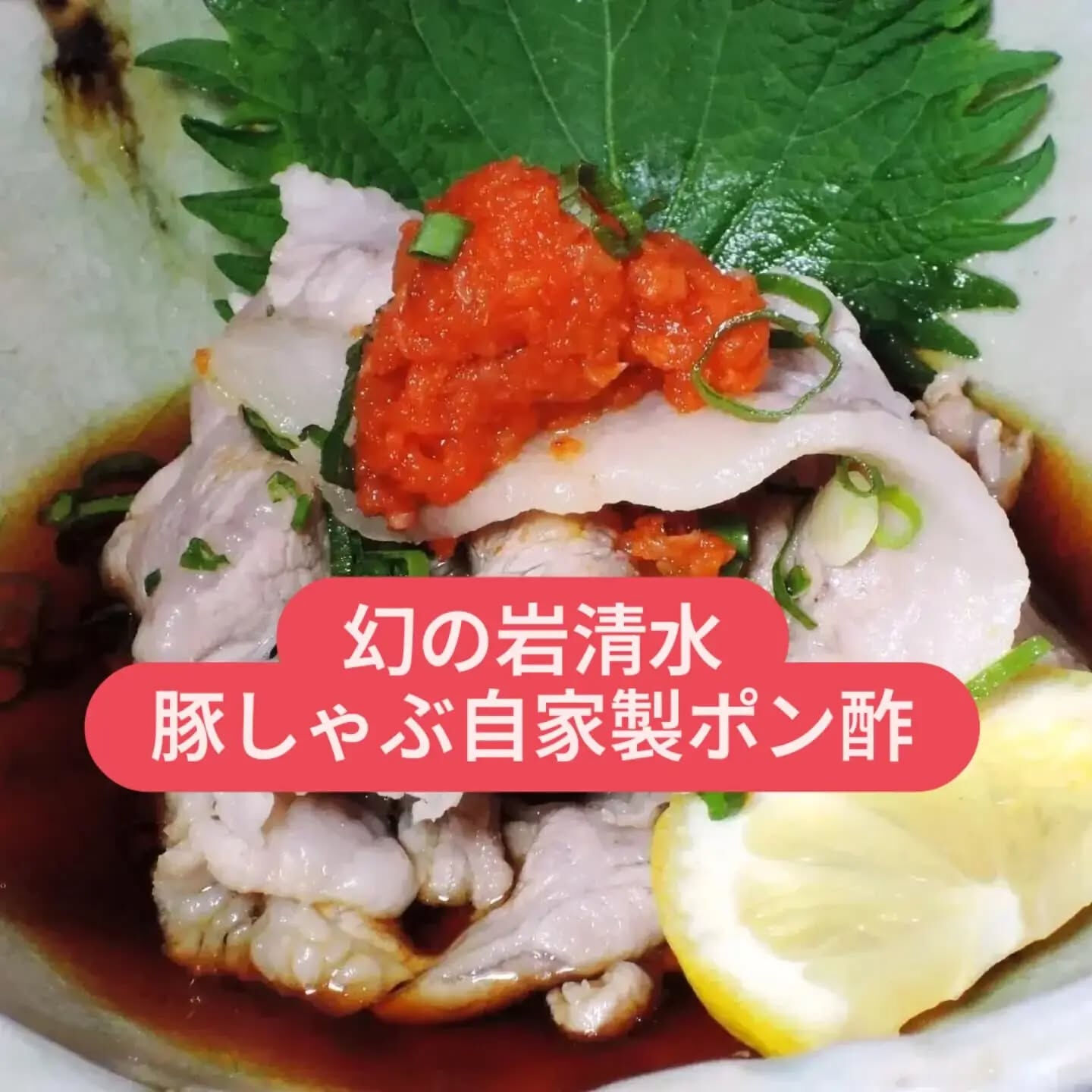 千葉県の皆様に心からのお悔やみとお見舞いを申し上げます