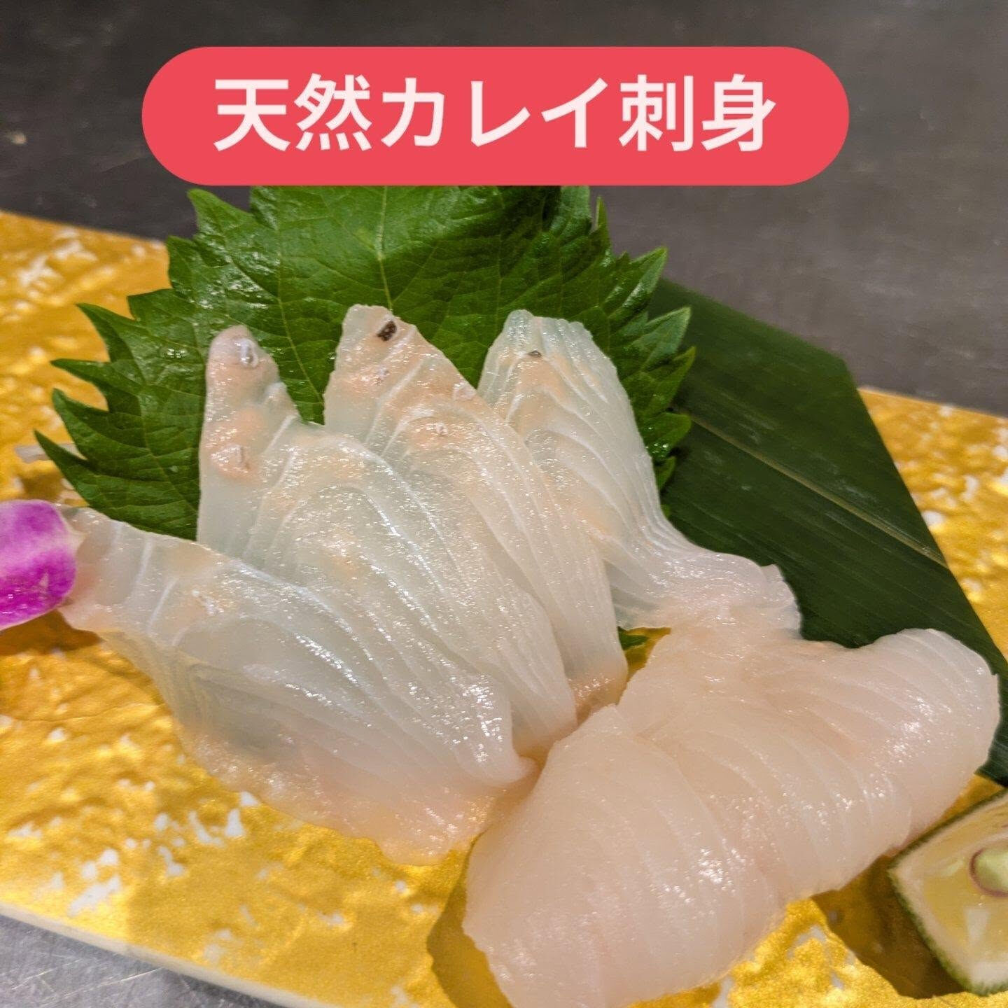 新鮮な味を楽しんでみませんか✨